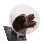 Buster Elizabeth Köpek Yakalığı. Transparan. 10 cm (10'lu Paket)