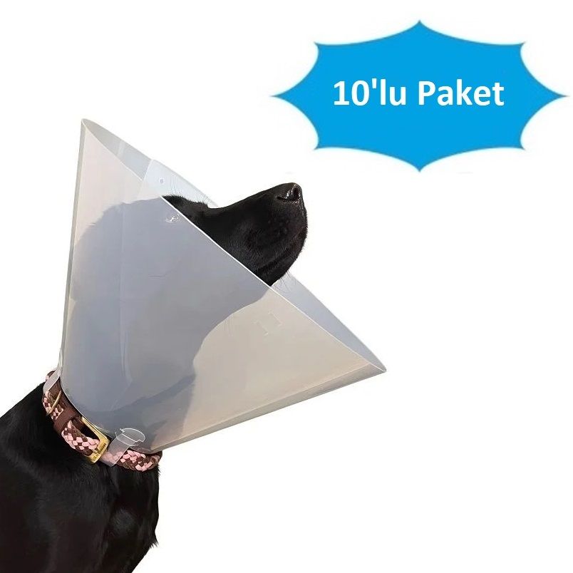 Curavet Elizabeth Köpek Yakalığı. Transparan. 10 cm (10'lu Paket)