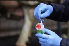 Kerbl Eurofarm Tüylü Meme Sondası (20 Adet)