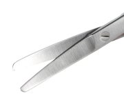 Veteriner Makas. 16 cm. K/K. Düz. Avrupa Kalite