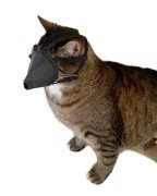 Buster Kedi Ağızlığı