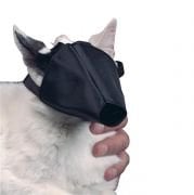 Buster Kedi Ağızlığı