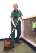 Kruuse Köpek Yakalama Aleti 100 cm