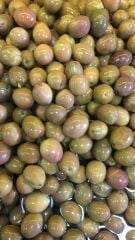 2023-24 Duble Çizik Zeytin