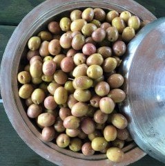2024-25 Duble Çizik Zeytin