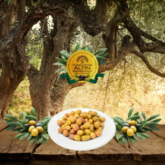 2024-25 Duble Çizik Zeytin