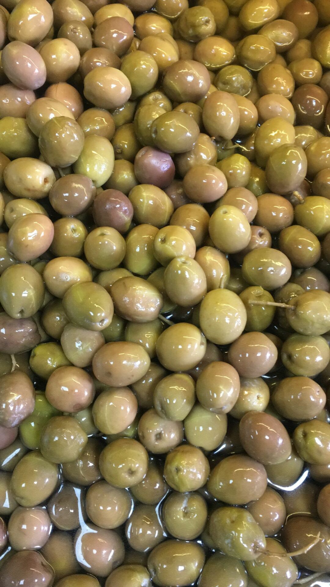 2023-24 Birinci Çizik Zeytin