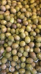 2024-25 Birinci Çizik Zeytin