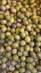 Birinci Çizik Zeytin