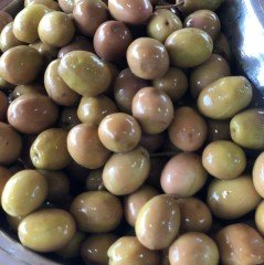 2023-24 Birinci Çizik Zeytin