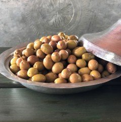 2023-24 Birinci Çizik Zeytin