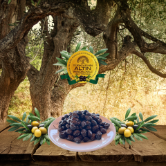 YERLİ GEMLİK SELE ''özel'' yeniden SİZLERLE!