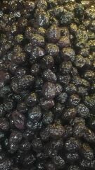 YERLİ GEMLİK SELE ''özel'' yeniden SİZLERLE!