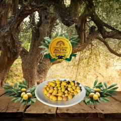 2025 ACI KIRMA ZEYTİN (YENİ)