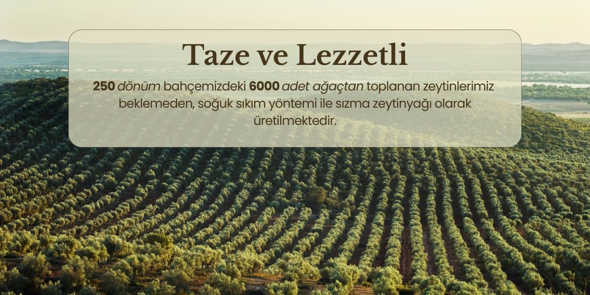 İndirim