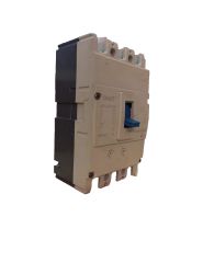 CHİNT Kaçak Akım Rölesi NM7-125FK/3300