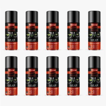FZ Garage Temizleyici Klima Fresh Koku Bombası Elma 200ml 10 Adet
