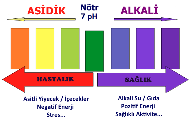 Alkalinite Nedir?