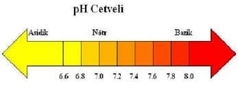 Havuz suyu ideal ph Değeri Kaç Olmalıdır?