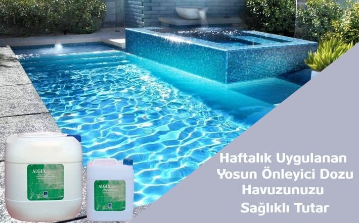 Havuz Yosun Önleyici Nedir Nasıl Kullanılır?