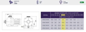 NIGER-KNG.075hp DT1 380 V Ön Filtresiz Havuz Pompası