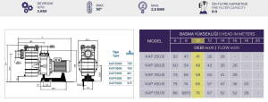 Kapri-KAP300 T1.B 3Hp 380 V Havuz Pompası