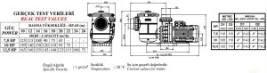 Nozbart Süper Tufan Serisi Trifaze Pompa 12.5 HP