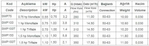 Smp Havuz Pompası 0,75 Hp 220 Volt