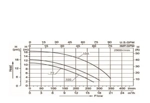 Smp Havuz Pompası 1 hp 220 Volt