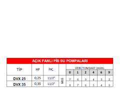 Dalgıç Pompa Dvx 25