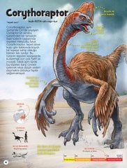 Dinozor Sevenler İçin Hidden Pictures