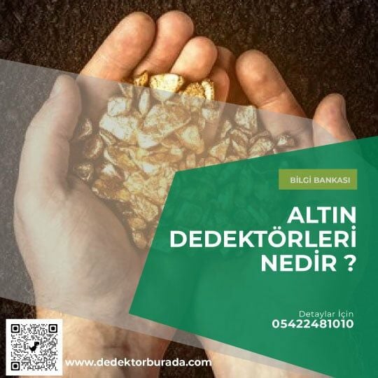 Altın Bulan Dedektör Var mı?