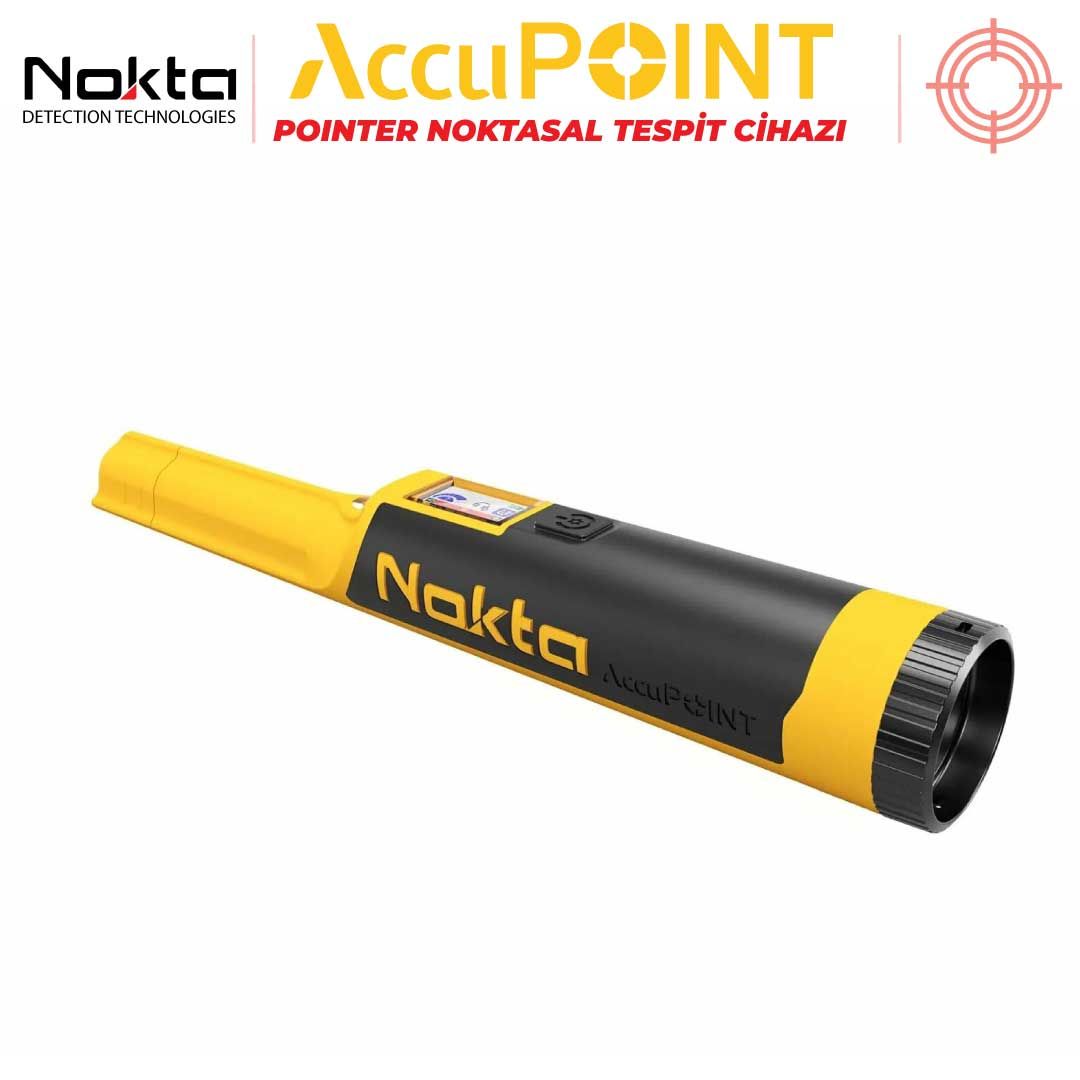 Accupoint Pointer