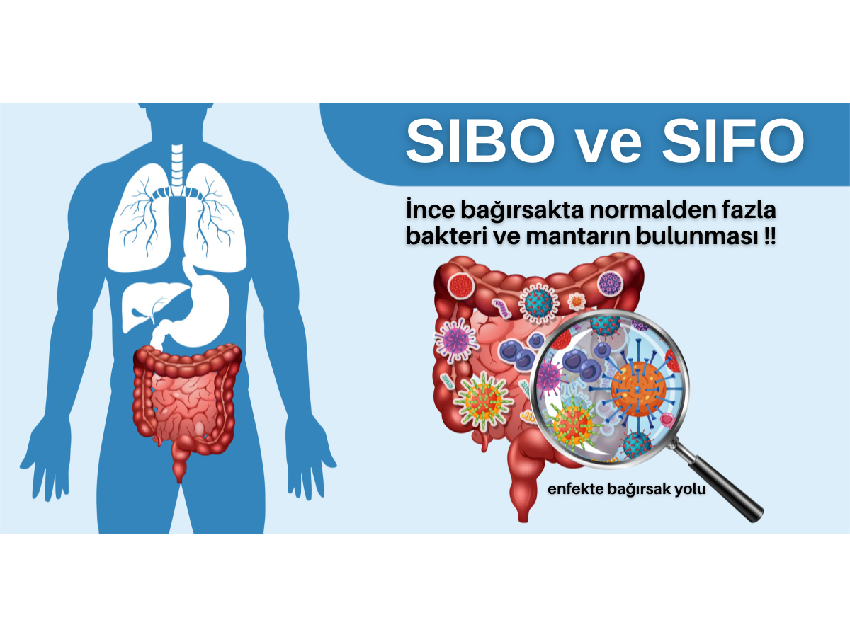 SIBO ve SIFO İçin Doğal Çözümler