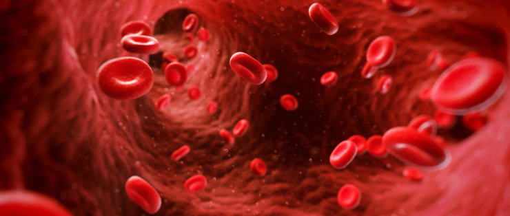 Kanın İncelmesi ile Kanın Viskozitesi Arasındaki Fark
