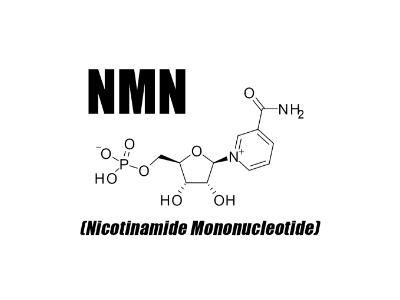 NMN (Nikotinamid Mononükleotid - Yaşlanmanın sonu mu geliyor?