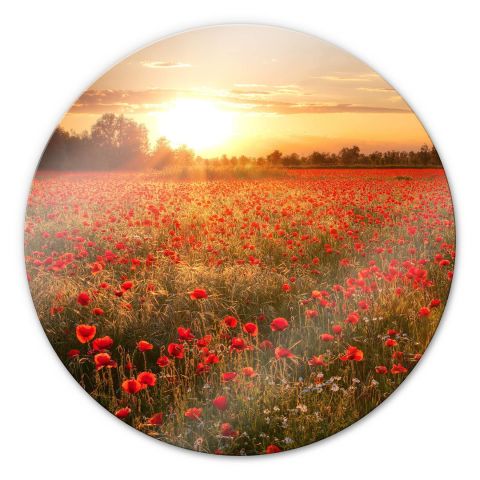 Poppy Seed Field Tempered Glass Wall Art, Shiny Appearance Design, Durable Product