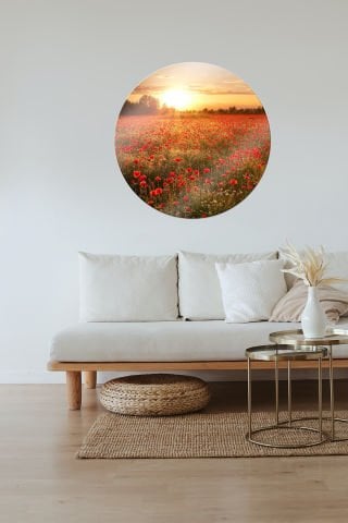 Poppy Seed Field Tempered Glass Wall Art, Shiny Appearance Design, Durable Product