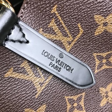 Louis vuitton NEONOE MONOGRAM HAKIKI DERI