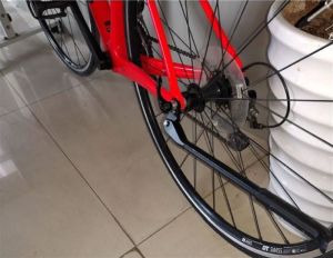 Rassine Lx-Bs1 QR Park Ayağı