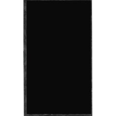 Codegen Q10 Plus Lcd İç Ekran