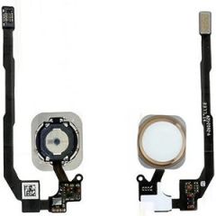 İphone 5S Home Tuş Flex Gold