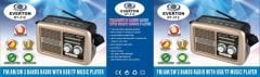 Everton RT-312 Usb ve Kart Girişli Bluetoothlu Radyo