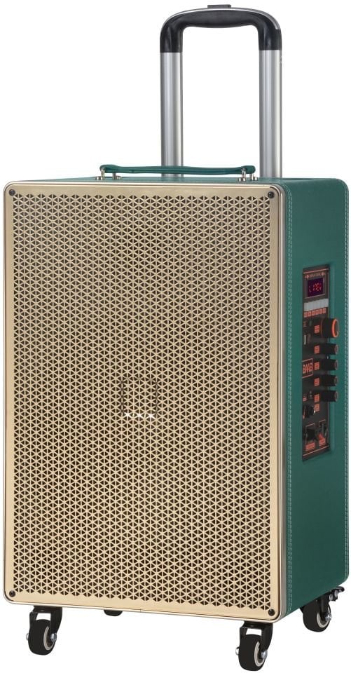 RXY-BB-8612 60 Watt ( 12 INCH ) + TWEETER Çift Kablosuz Mikrofonlu Kumandalı Led Panel FM / BT / USB ve TF Kart Girişli Ahşap kasa Anfili Hoparlör