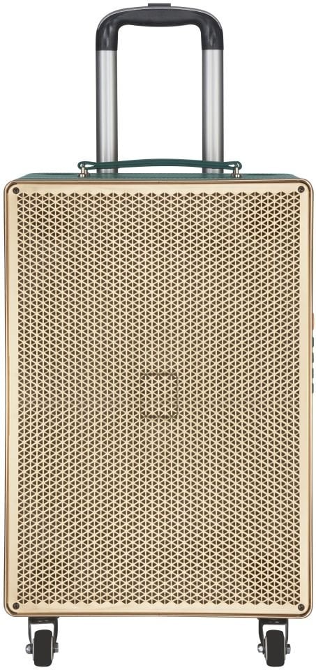RXY-BB-8612 60 Watt ( 12 INCH ) + TWEETER Çift Kablosuz Mikrofonlu Kumandalı Led Panel FM / BT / USB ve TF Kart Girişli Ahşap kasa Anfili Hoparlör