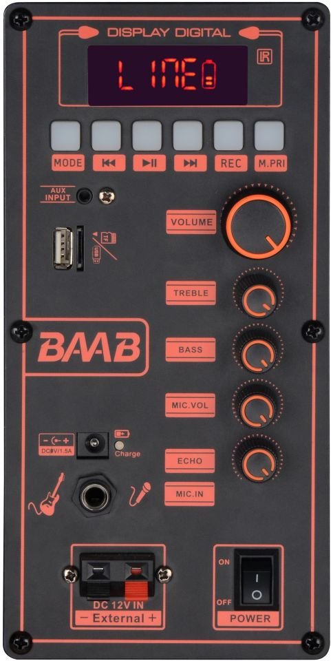 RXY-BB-8612 60 Watt ( 12 INCH ) + TWEETER Çift Kablosuz Mikrofonlu Kumandalı Led Panel FM / BT / USB ve TF Kart Girişli Ahşap kasa Anfili Hoparlör
