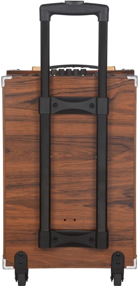 RXY-B-Q12 40 Watt ( 12 INCH ) + TWEETER Kablosuz Mikrofonlu Kumandalı FM / BT / USB ve TF Kart Girişli Ahşap Kasa Anfili Hoparlör