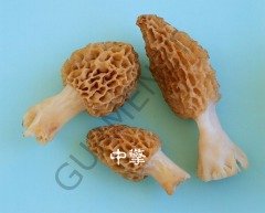 Doğal Morel Mantarı Kurutulmuş 50 Gr.