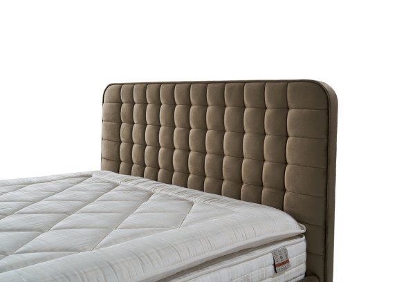 Letto Başlık