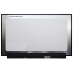 M133NWF4 R0, M133NWF4-R0 Ekran Panel 13.3 Led 30 Pin 1920 x 1080 FHD IPS